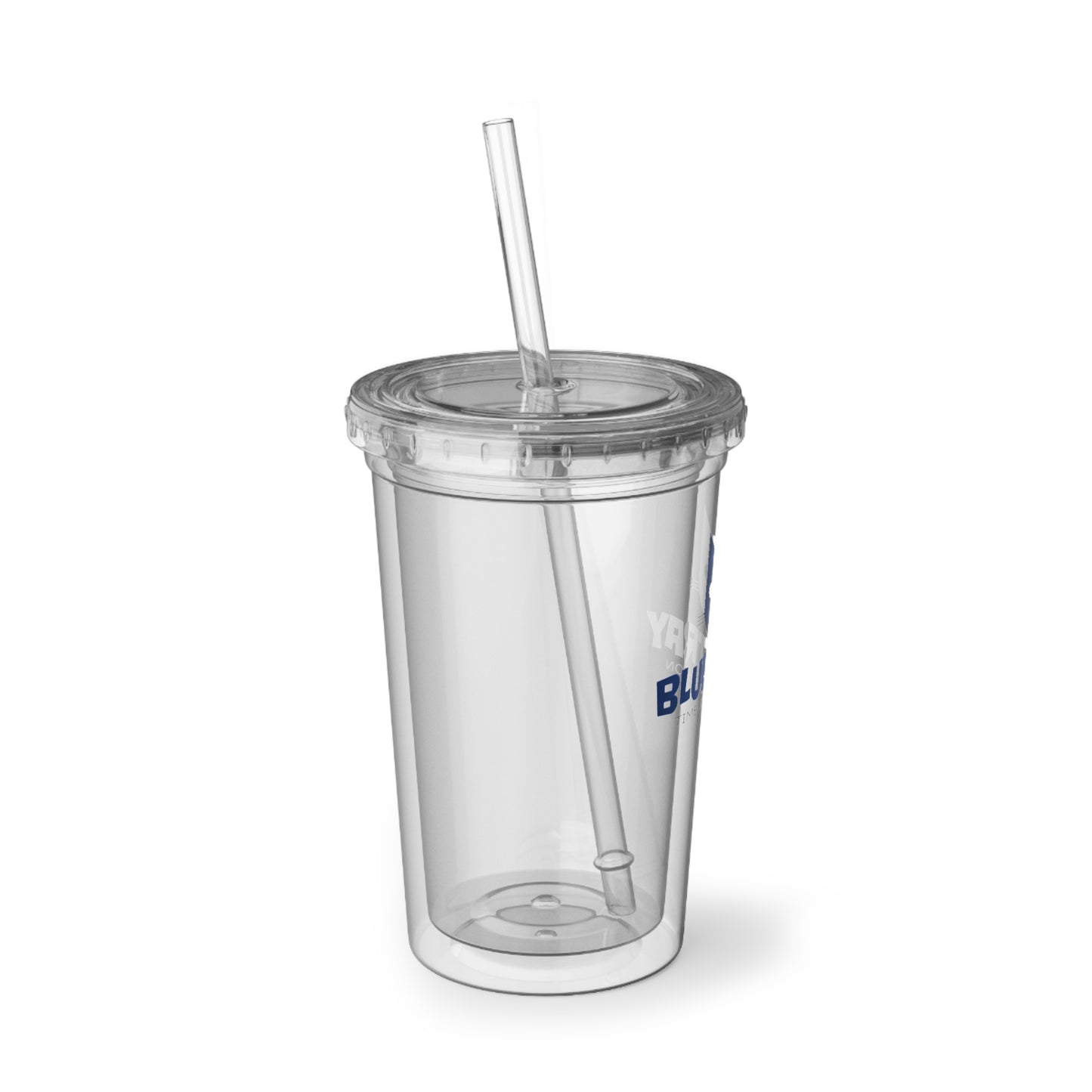 Bluestray Clear Acrylic Tumbler with Straw