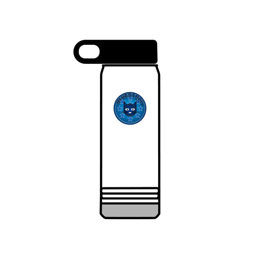20oz Stainless Water Bottle with Bluestray Galaxy Cat Sticker — Cute Space Kitty Travel Bottle